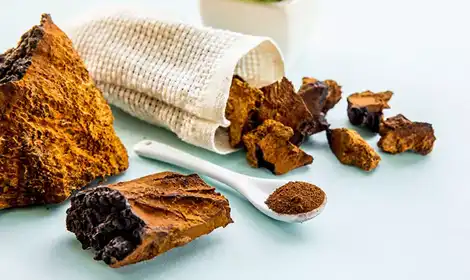 Key Bioactive Compounds in Chaga Mushroom Extract & Their Functional Applications